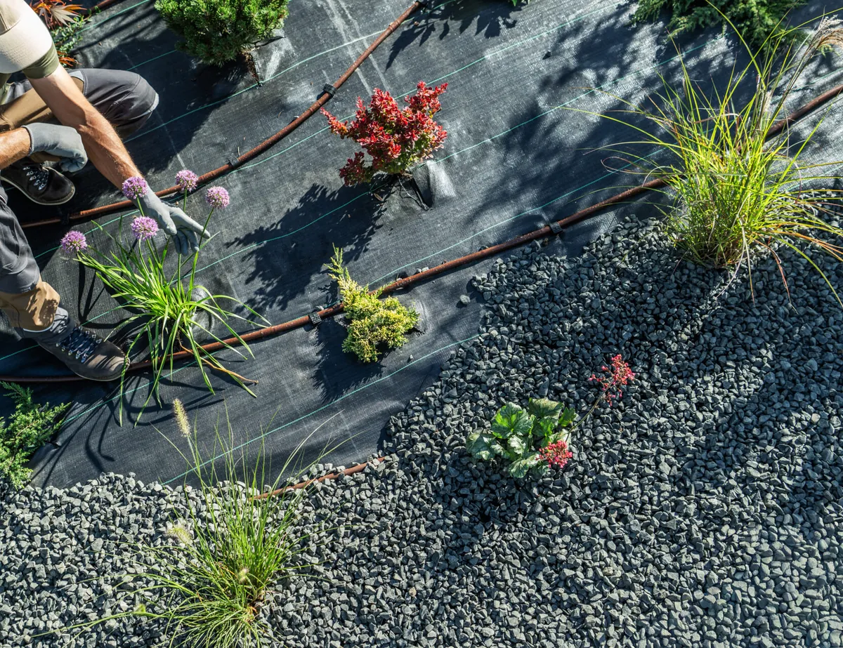 Bepflanzung einer Kiesfläche bei der Gartengestaltung